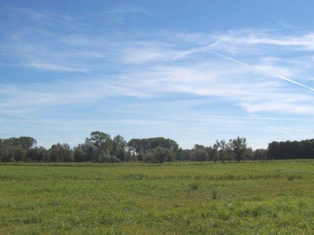 Zur-Alten-Schmiede-Ii Boltenhagen  Zewnętrze zdjęcie